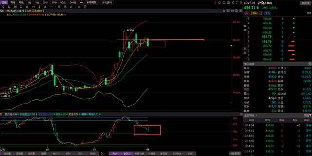 赛季走势逐渐明朗什么意思